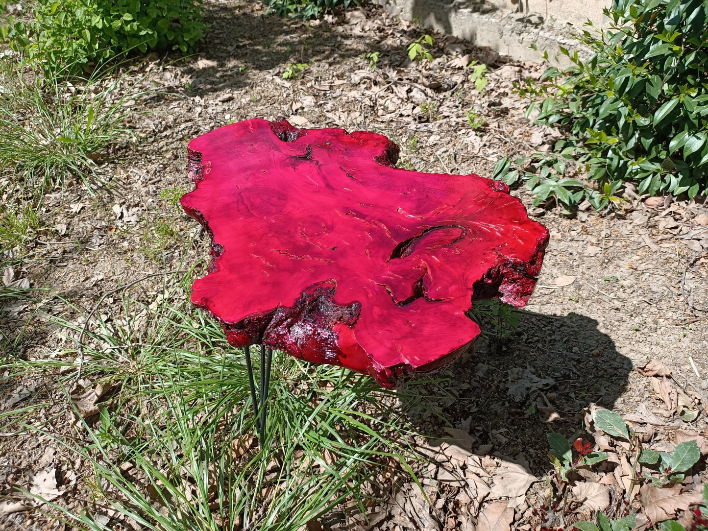 20" Red Colored Live Edge Olive Coffee Table