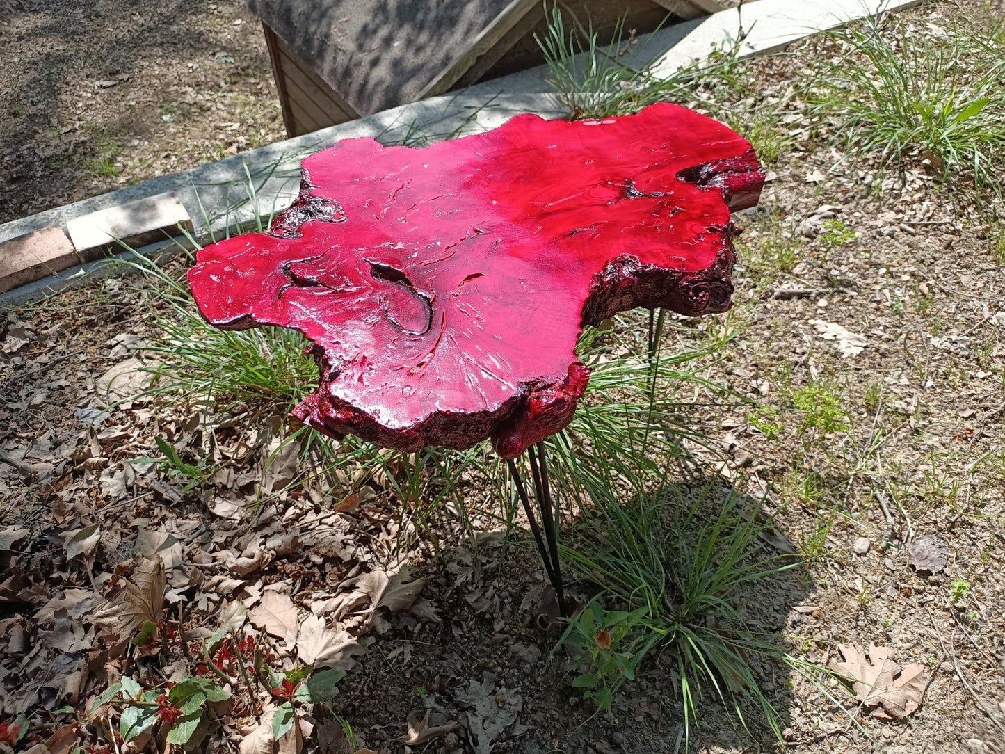 20" Red Colored Live Edge Olive Coffee Table