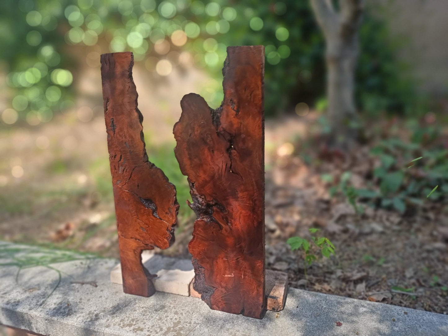 Brown Olive Wood Slab for DIY Epoxy River Table 20"