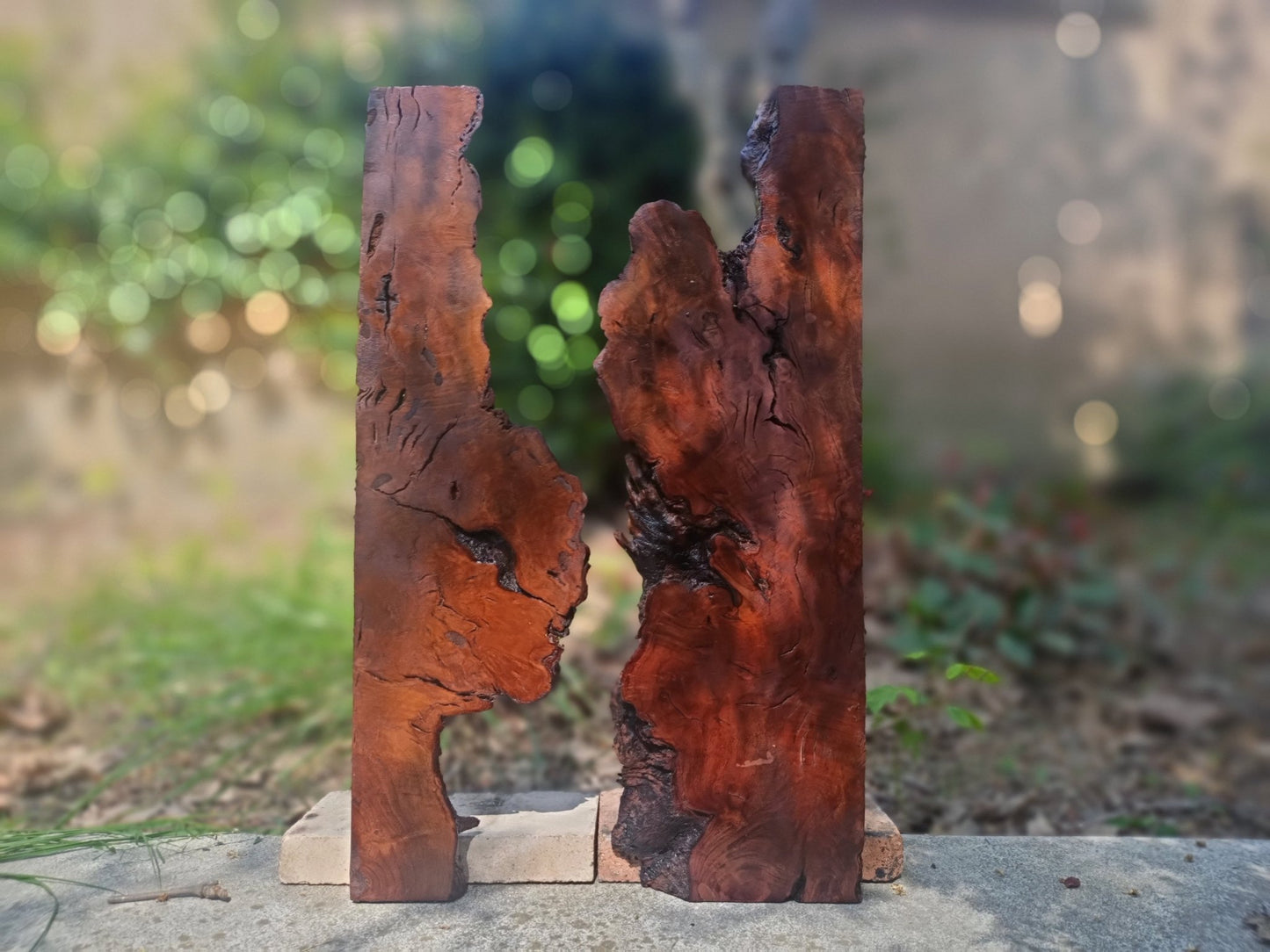 Brown Olive Wood Slab for DIY Epoxy River Table 20"