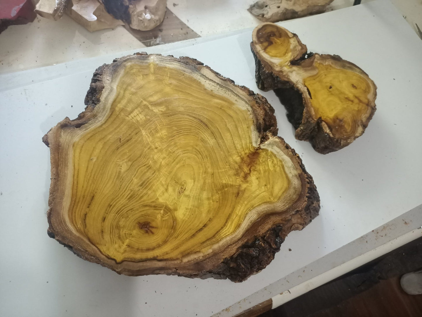 Live Edge Mulberry Wood Slab Set 2 Pcs