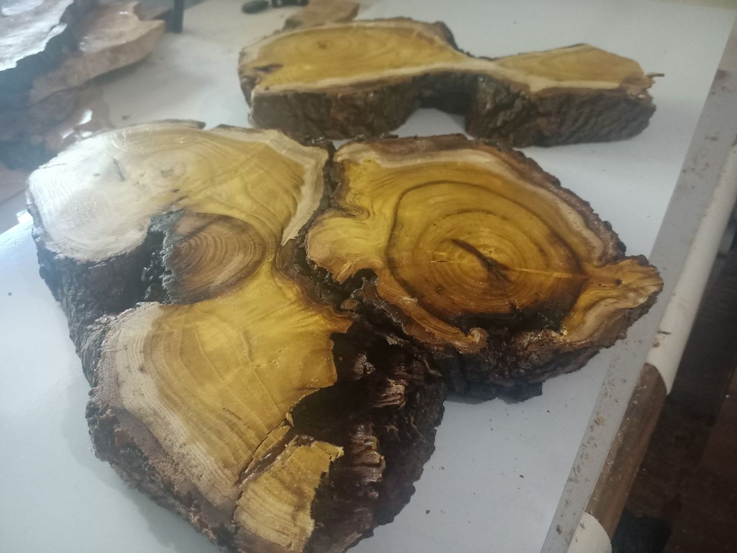 Live Edge Mulberry Wood Slab Set 2 Pcs