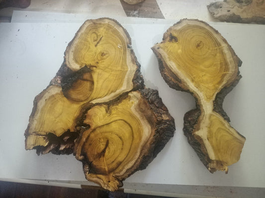 Live Edge Mulberry Wood Slab Set 2 Pcs