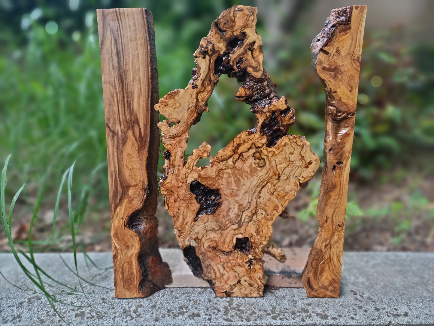 Olive Wood Slab Set in 3 Pieces For River Table