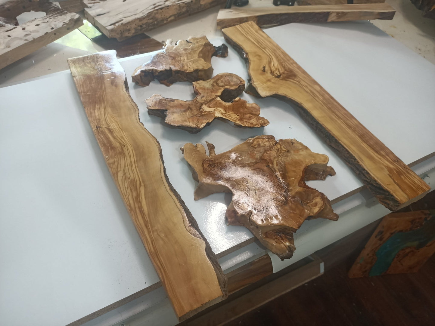 Olive Wood Slab Set in 5 Pieces for River Table