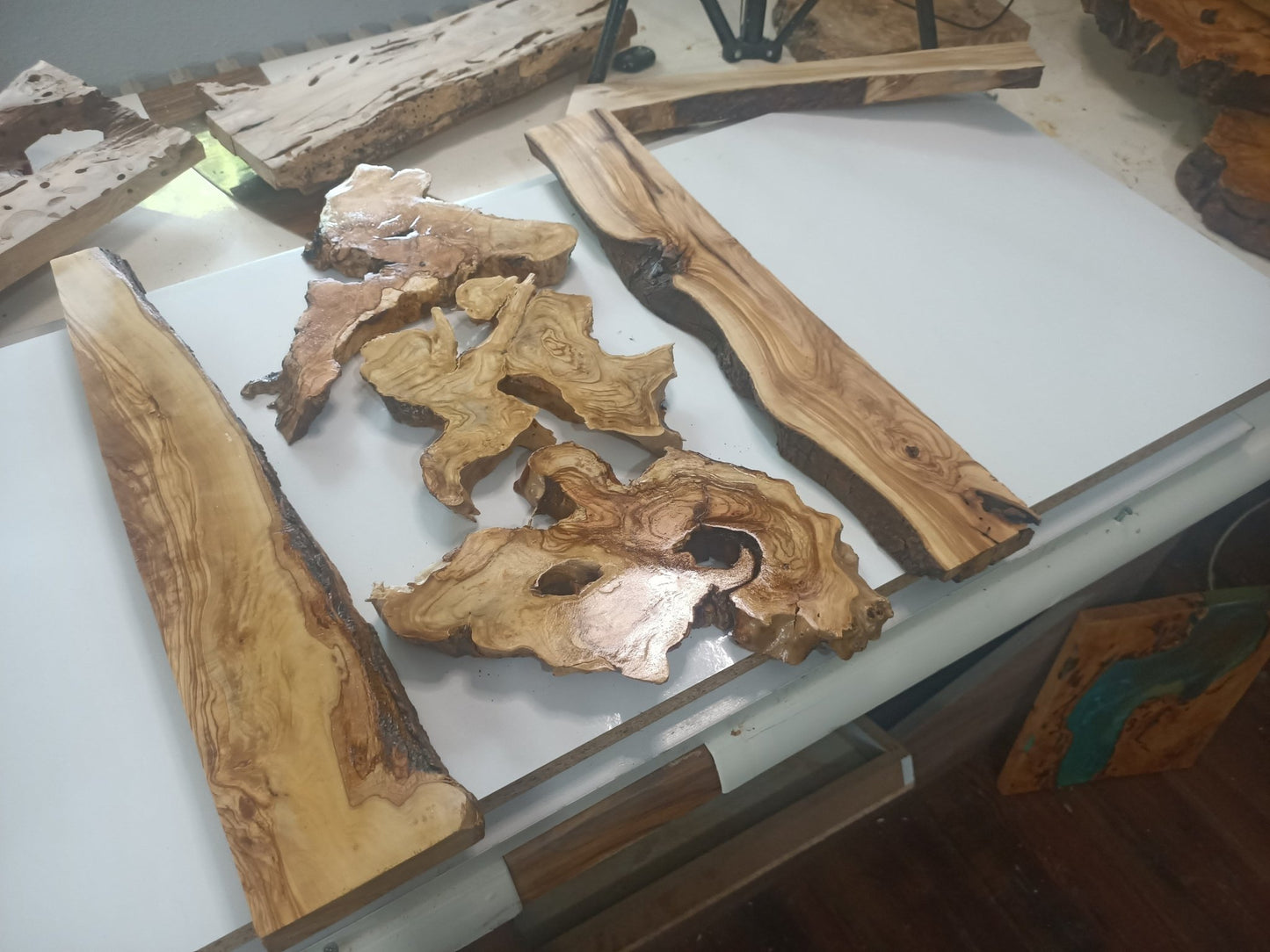 Olive Wood Slab Set in 5 Pieces for River Table