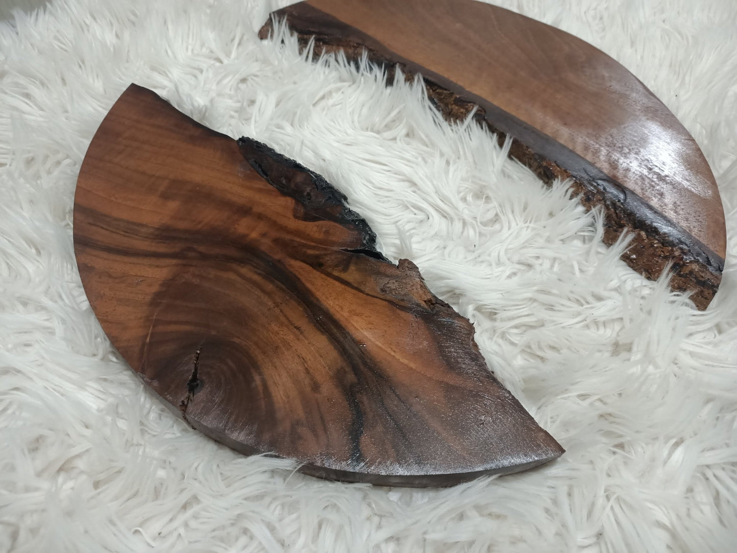 Round Black Walnut Slabs 16"-20"