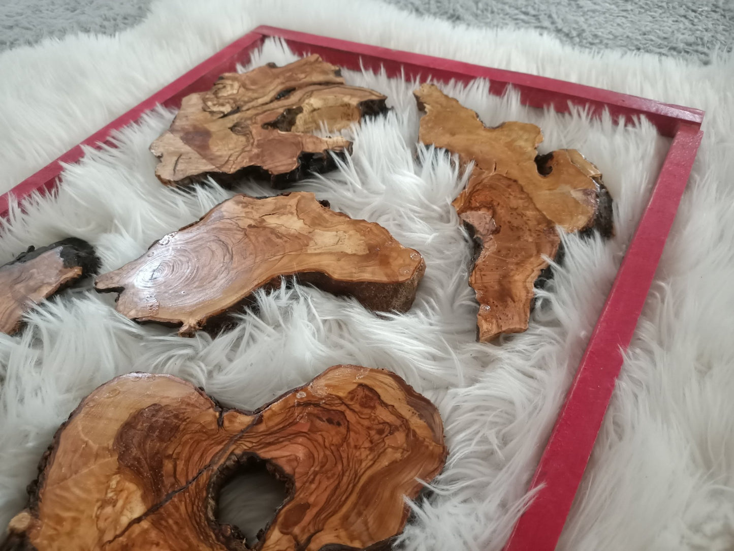 Varnished Olive Wood Slabs for Epoxy Projects