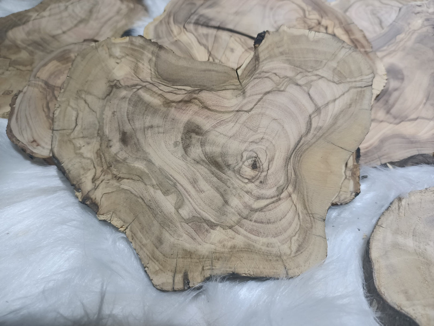 Live Edge Olive Wood Slab from Tree Branches for DIY and Epoxy, Ready to be Resin Table, Cleared Wood Slab for Epoxy Resin Wood, Burl Wood