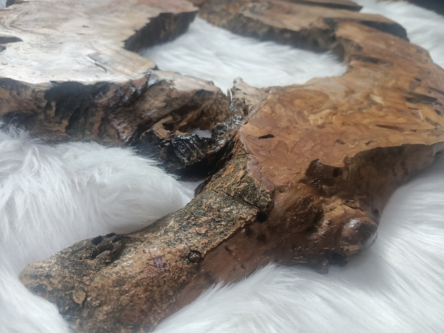 Olive Root Slab for DIY Epoxy Table 16"-20"