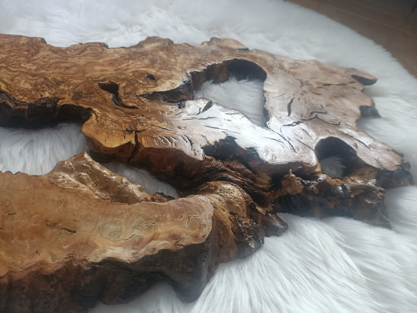 Olive Root Slab for DIY Epoxy Table 16"-20"